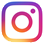 Instagram Icon